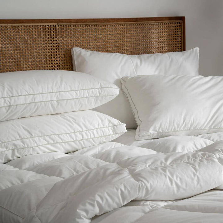 Hotel Cloud Collection™ Hotel Pillow - BLACK & PURPLE - Kuwait