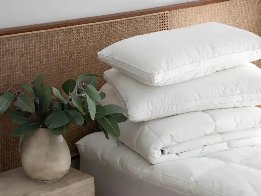 Hotel Cloud Collection™ BLACK & PURPLE